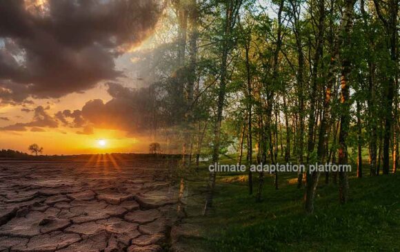 climate adaptation Africa's Climate Actions and Initiatives Climate Actions and Initiatives Impact Africa’s Climate Adaptation