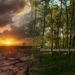 Climate Actions and Initiatives Impact Africa’s Climate Adaptation
