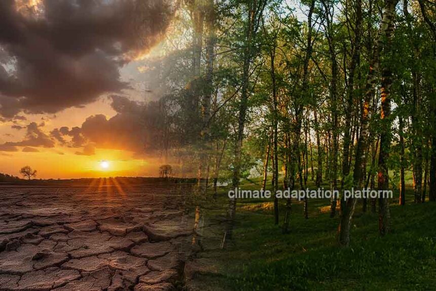 Climate Actions and Initiatives Impact Africa’s Climate Adaptation