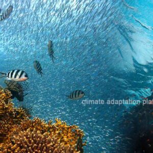 Is Climate Change Driving Fish Stocks to Deeper Cooler Waters?