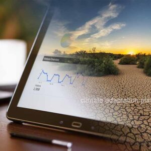 Climate Predictions and Policymaking Make for Efficient Adaptation