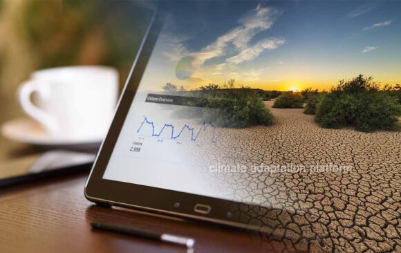 Climate Predictions and Policymaking Make for Efficient Adaptation