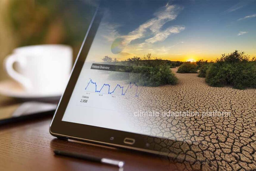 Climate Predictions and Policymaking Make for Efficient Adaptation
