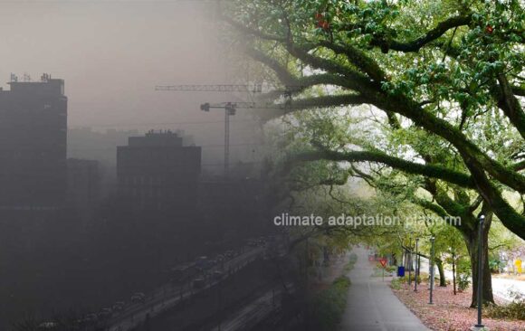 climate adaptation European Commission Awards European Commission Awards Its Greenest Cities