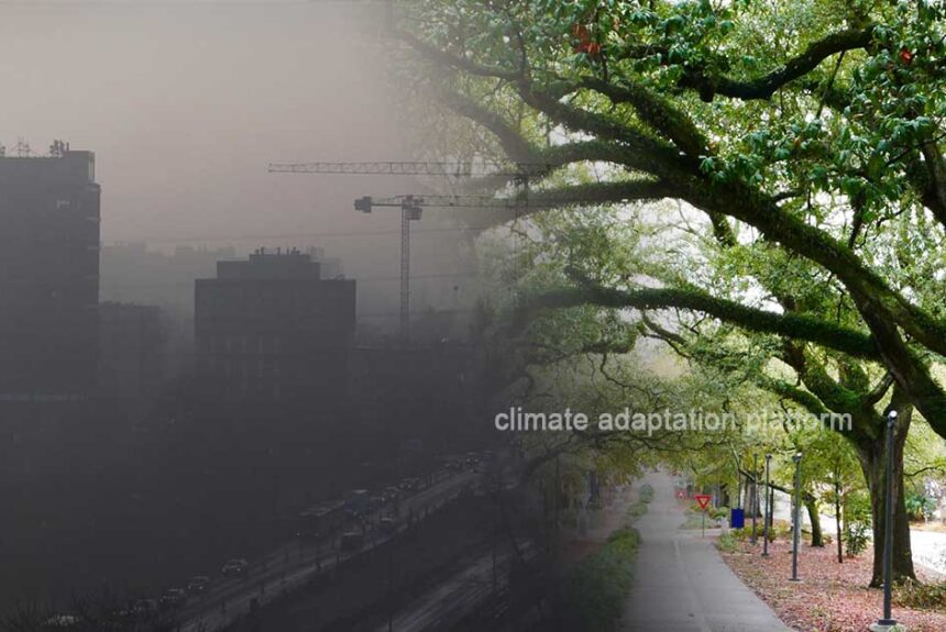 climate adaptation European Commission Awards