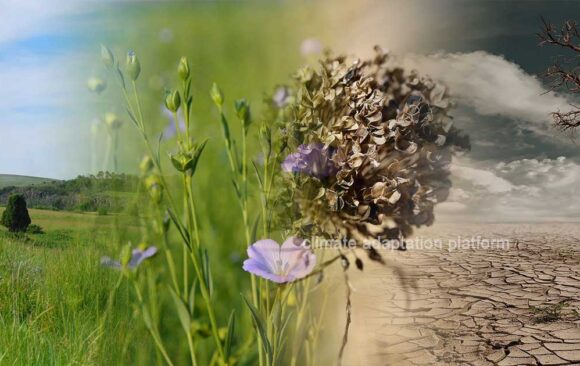 How Texas Prairie Restoration Projects Strengthen Water Security