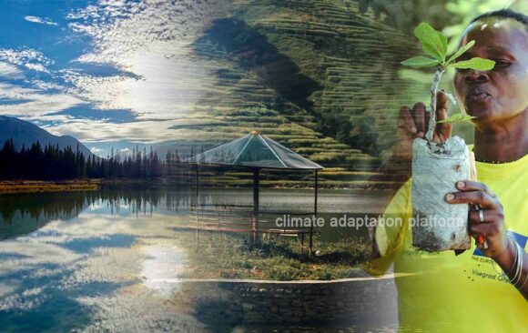 climate adaptation How Trees Restore Degraded Lands Reforestation Brings Healing to Africa’s Degraded Lands