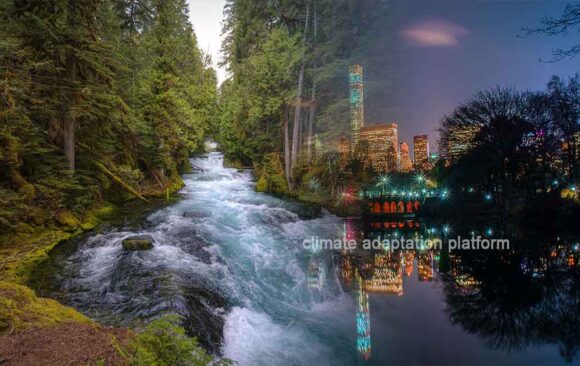 NYC Protects Water Supply Thru Watershed Forest Management