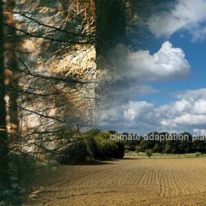 Albedo Fall Could Offset Climate Value of Forest-based Projects