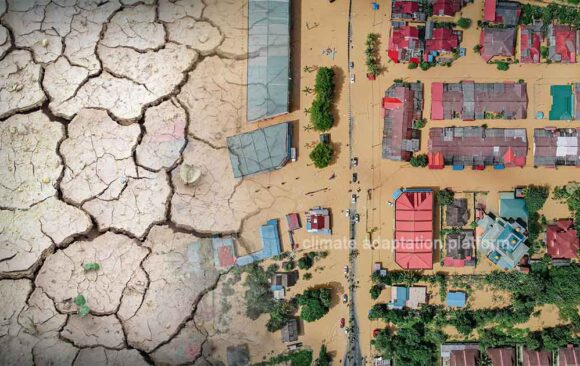 South Africa Opts for Natured-Based Solutions to Water Problems