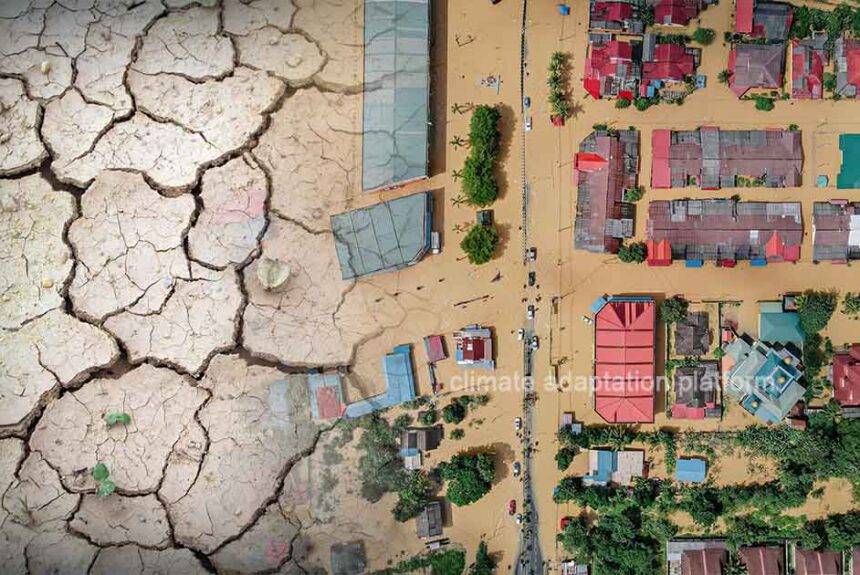 South Africa Opts for Natured-Based Solutions to Water Problems