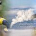 Decentralised Wastewater Systems Builds Sustainable Cities