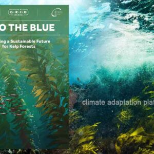 Kelp Forests: Ocean’s Useful Ecological and Economic Resources