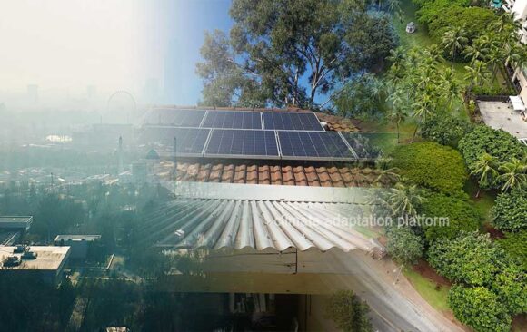 How Behaviours and Policy Can Tackle Climate Change Effectively