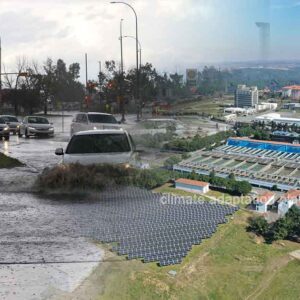 Private Sector’s Crucial Role in Climate Adaptation and Resilience