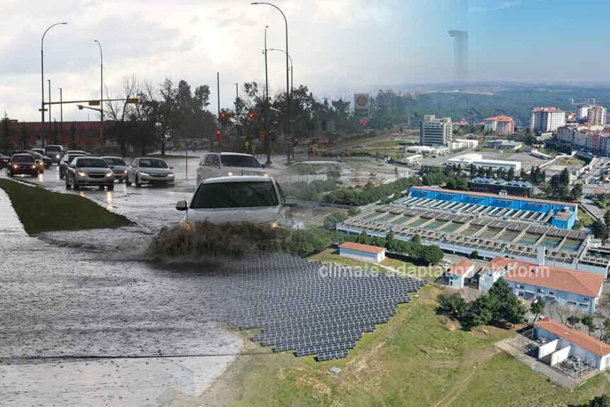 Private Sector’s Crucial Role in Climate Adaptation and Resilience