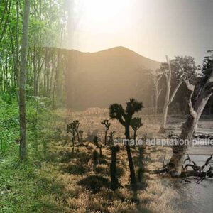 What Land Use and Climate Change Looping Effects Threaten Us