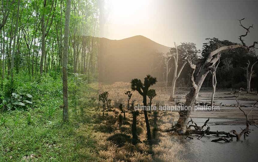 What Land Use and Climate Change Looping Effects Threaten Us