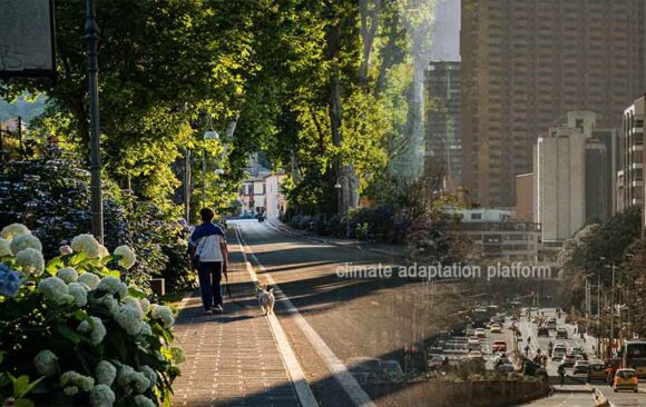 Cities Fight Air Pollution with Greener Transit and Green Spaces