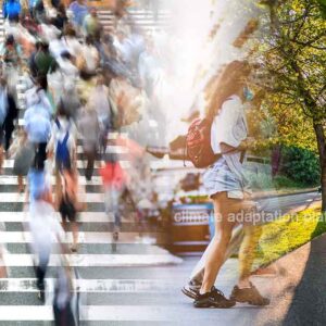 From Congestion to Climate Action: Istanbul’s Sustainable Tourism