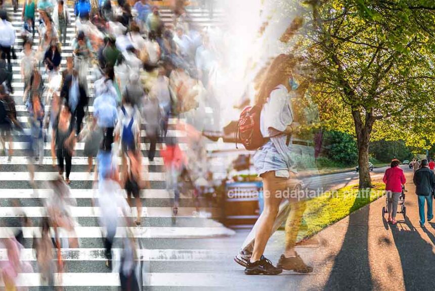 climate adaptation How Istanbul’s Tourist District are Responding From Congestion to Climate Action: Istanbul’s Sustainable Tourism