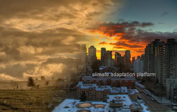 Heatwaves Attributed to Emissions from Carbon Major Entities