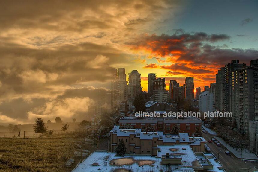 Heatwaves Attributed to Emissions from Carbon Major Entities