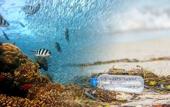 Sixty Countries Endorse Historic Ocean Biodiversity Pact