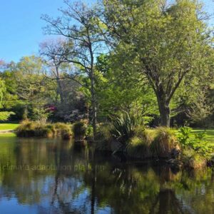 climate adaptatoin new zealand emission reduction