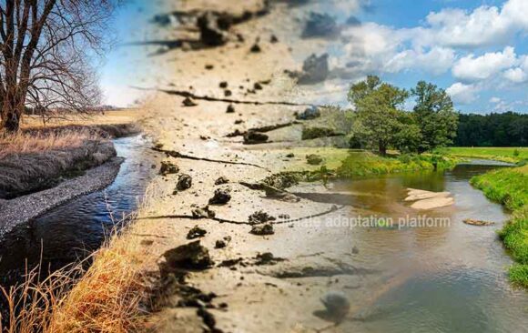 Battling Water-Thirsty Invaders – South Africa’s Struggle for Water