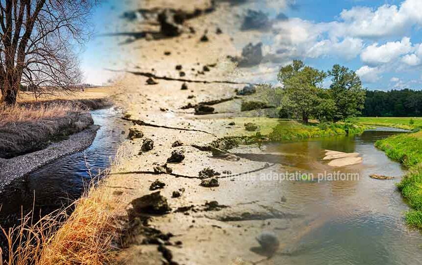 Battling Water-Thirsty Invaders – South Africa’s Struggle for Water