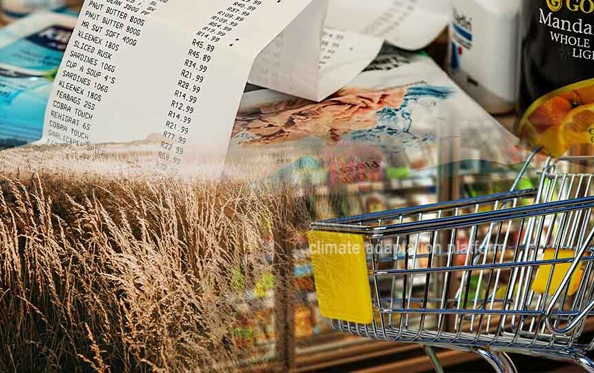 Climate Change Drives Up Food Prices Amid Extreme Weather