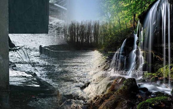 Green Infrastructure Reduces Heavy Metals in Urban Stormwater