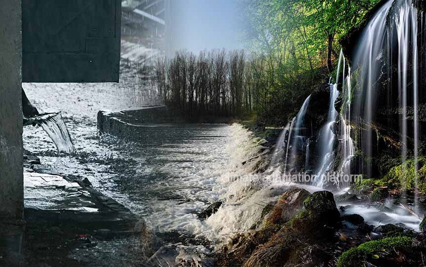 Green Infrastructure Reduces Heavy Metals in Urban Stormwater