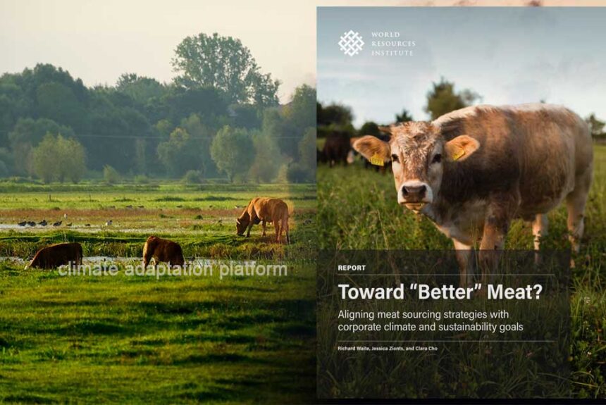 Climate Adaptation and Rethinking Sustainable Food Choices