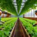 climate adaptation hydrophonics sustainable food production