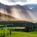 GHG Inventory Tracks NZ to Meet Its 2050 Net-Zero Targets
