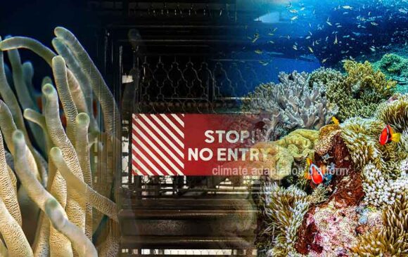 From Traditional to Climate-Smart Coral Reef Management