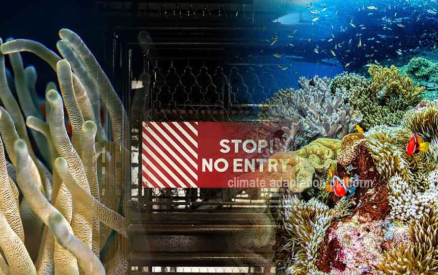 From Traditional to Climate-Smart Coral Reef Management