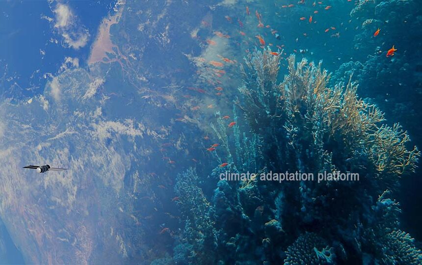 High Seas Treaty Unlocks Global Ocean Conservation Progress