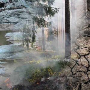 2025 Heat Records Warn of Growing Climate Tipping Point Risks