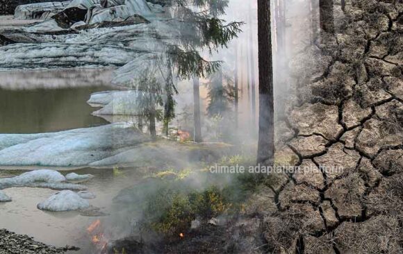 2025 Heat Records Warn of Growing Climate Tipping Point Risks