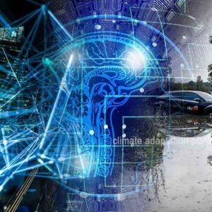 Digital Innovation Meets Climate Change – Opportunities and Risks