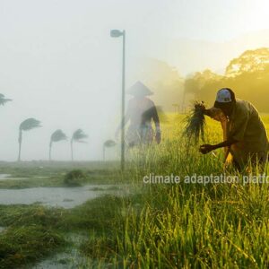 Food Security through Agroecology and Indigenous Wisdom