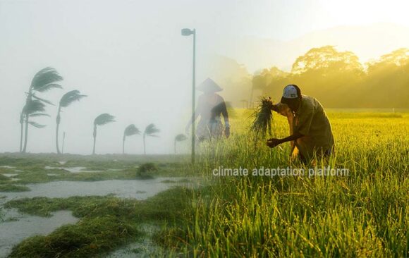 climate adaptation Agroecology and Indigenous Wisdom Food Security through Agroecology and Indigenous Wisdom