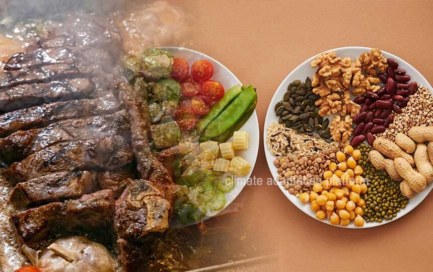 Balancing Health and Climate, USA’s Protein-Focused Diets