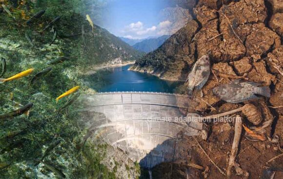 USA’s Aging Dams—Hazards, Methane, Environmental Concerns