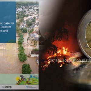 Building Resilience as Climate Disasters Cost Germany Billions