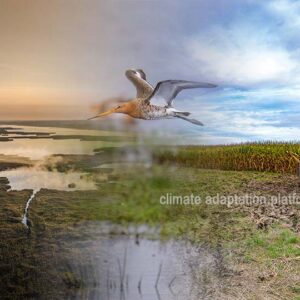 Grassland and Wetland Loss Endangers Biodiversity and Climate