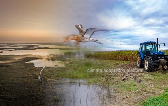 Grassland and Wetland Loss Endangers Biodiversity and Climate